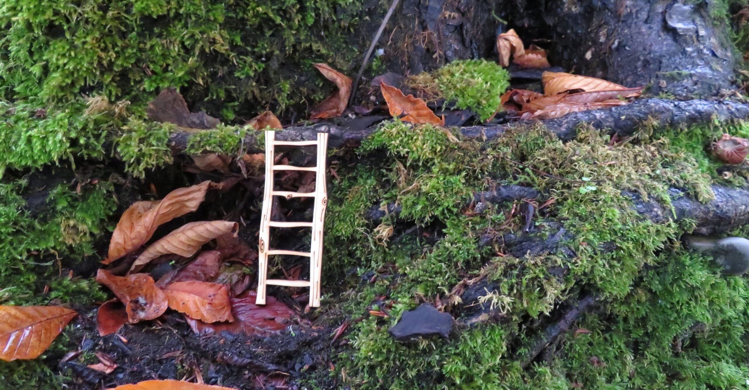 Fairy Ladder - Various Sizes