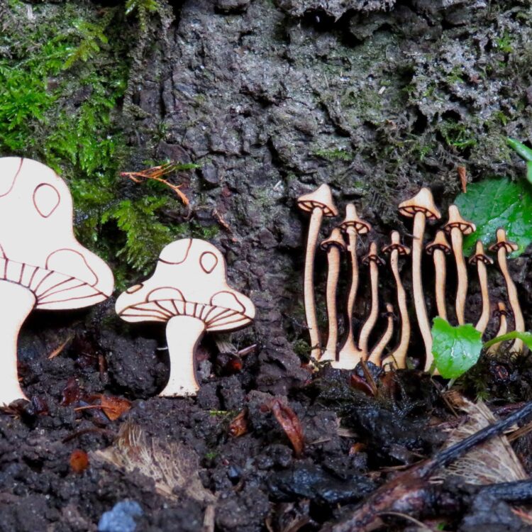 Mushrooms for Fairy Garden Village