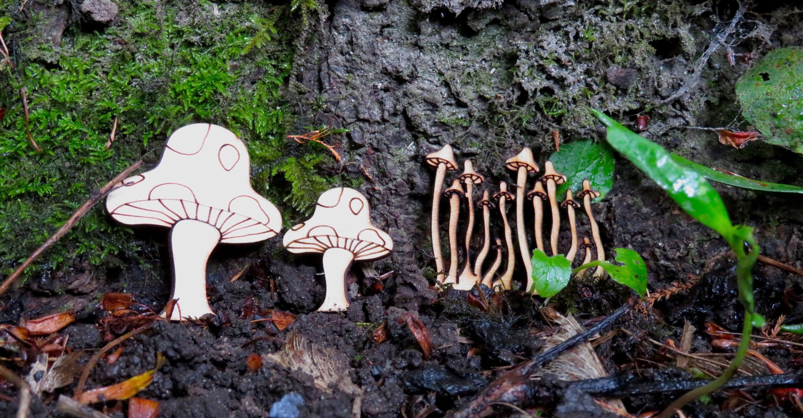 Mushrooms for Fairy Garden Village